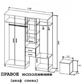 Прихожая Дуся 1.7м в Черепаново - cherepanovo.mebelnovo.ru | фото