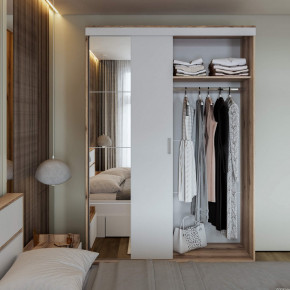 Шкаф-купе Брауни 1.5м в Черепаново - cherepanovo.mebelnovo.ru | фото